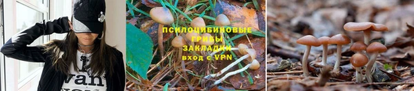 марки nbome Кукмор
