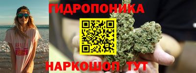 ПСИЛОЦИБИНОВЫЕ ГРИБЫ Новокубанск