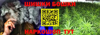 молекула духа Новозыбков