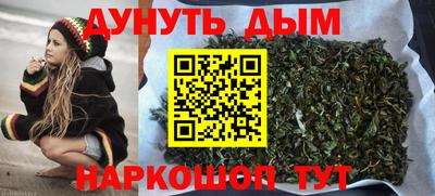 молекула духа Новозыбков