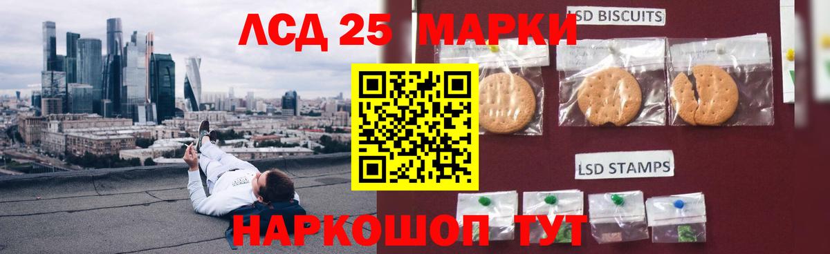 Псилоцибиновые грибы Губаха
