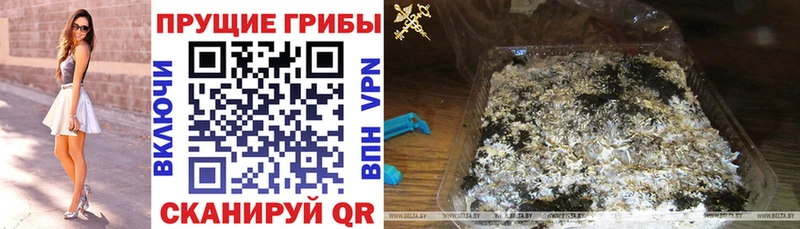 Галлюциногенные грибы Cubensis  Губаха 