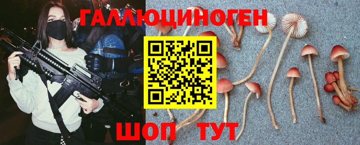 Галлюциногенные грибы Cubensis Губаха