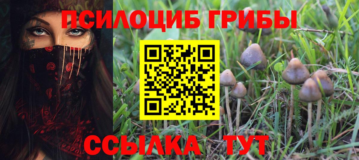 Губаха  Галлюциногенные грибы MAGIC MUSHROOMS  Псилоцибиновые грибы Magic Shrooms  Вход с VPN 