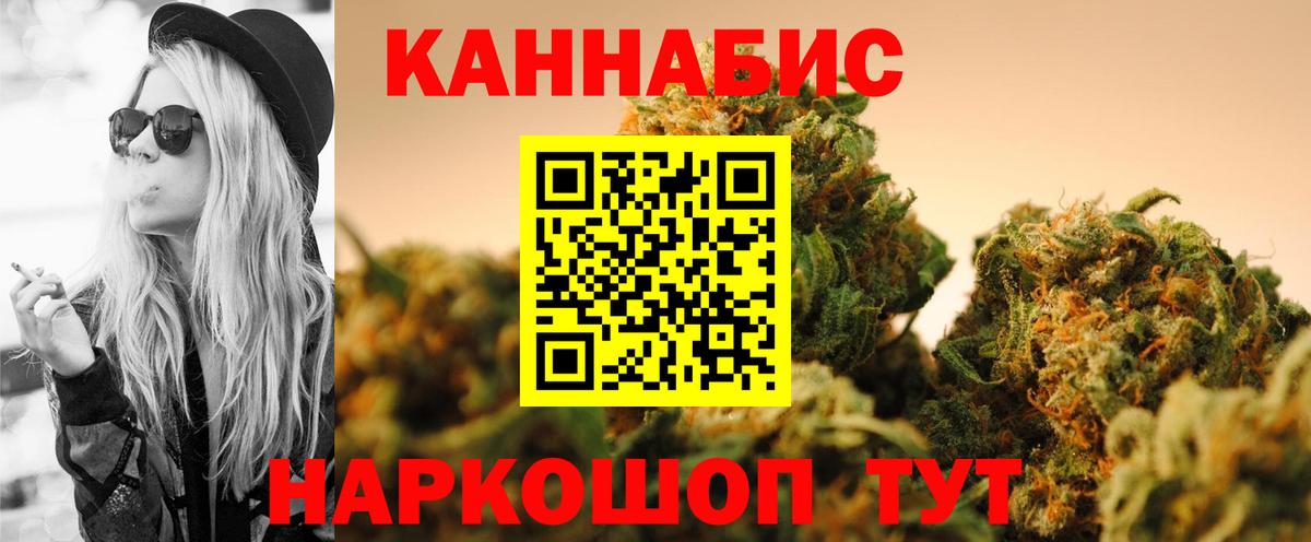 Бошки марихуана план  Канабис VHQ  Губаха  Конопля семена  Конопля White Widow  Вход с VPN 